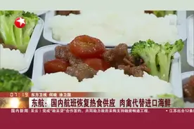 东航：国内航班恢复热食供应  肉禽代替进口海鲜视频封面