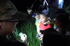 暗访夜精灵，探秘我先行图片