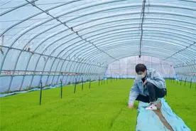 中国东北持续推广黑土地保护性耕作图片