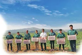 回家！在梦开始的地方创业图片