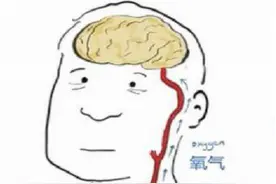 塑心学堂 | 医生，我头晕为什么让我检查心脏？图片