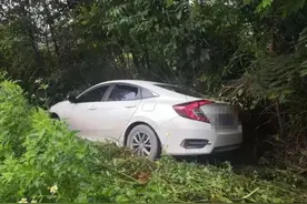 心虚？陆川一男子干完这种事，见到民警就跑，结果车轮卡进水沟图片