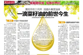 一滴菜籽油的前世今生图片