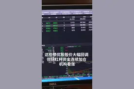 中国财富报道｜错杀股名单来了 机构看涨这些绩优股视频封面