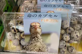 日本鹌鹑蛋包装引热议 网友：太可爱，下不去嘴（图）图片