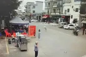 老人被狗绳绊倒身亡后续：家属不追责！更多细节披露图片