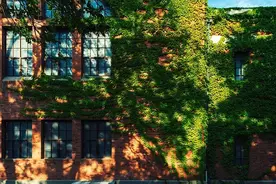 大学新生入校无需奢侈品壮行图片