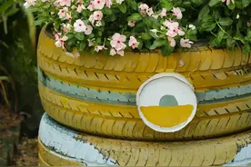 走起！带你免费游玩厦门园博苑园艺科普园，抓住夏天的小尾巴图片