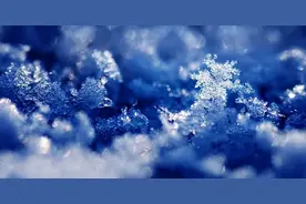 粉丝提问 | 冻干护肤到底是黑科技还是智商税？图片