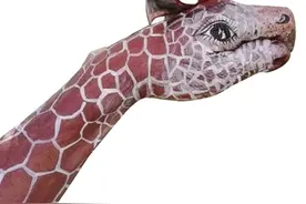 一只拳头演出人间百态 双胞胎兄弟自创“手舞”走红网络图片