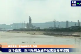 四川乐山五通桥区出现异味浓雾，官方通报：未发现泄露等异常现象图片