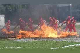 杨应森：民兵的新作为——哈尔滨警备区践行“党管武装”责任实录图片