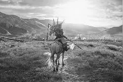 《八佰》中不可忽视的戏曲元素图片