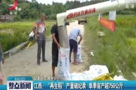 江西：“再生稻”产量破纪录 单季亩产超750公斤视频封面