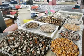 开海后一周的防城港 每公斤花虾180元、花蟹70元图片