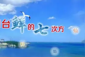 游海上仙山品海带滋味！“烟台‘鲜’的七次方”走进长岛大钦岛图片