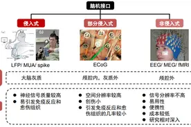 马斯克将公布Neuralink新进展，侵入式脑机接口或进入人体试验阶段图片