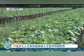 不唯学历！淮安：77名乡土人才和急需紧缺人才获评中级职称视频封面