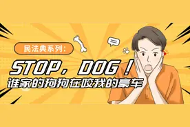 遗弃狗咬破豪车，五万修理费谁赔？图片