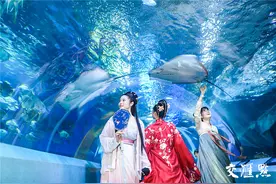 南京海底世界爱情鱼展：七夕，“鱼”你在一起图片