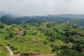 重磅！北碚温泉谷项目一宗地4.4亿元挂牌转让图片