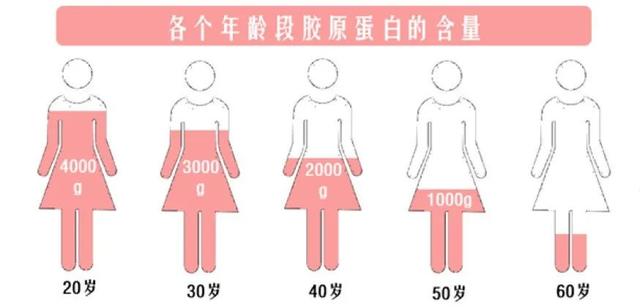 花胶好消化吗 2026年花胶养胃还是伤胃