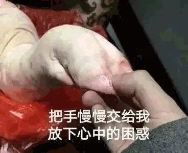 花胶猪手 2026年花胶猪手汤怎么做好吃