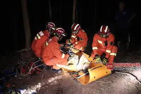 玉林一钩机坠落50米山坡，驾驶员在危急瞬间直接跳车……图片
