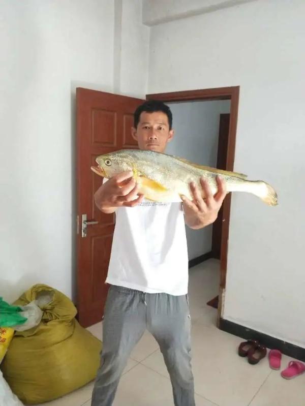 大黄花鱼图片 2026年清蒸大黄花鱼图片