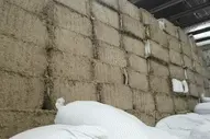 俯瞰黄冈蕲艾田 千亩草海话脱贫视频封面
