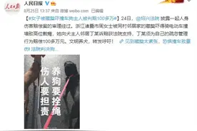 女子家属回应被藏獒吓撞车获赔100多万：狗主人至今未道歉图片