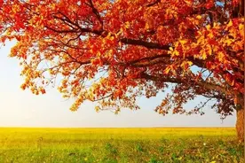 燃气计量管理很重要，办法/制度不能少图片