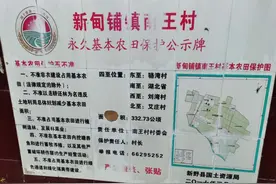 南阳要占万亩基本农田建养猪场，当地村民：没有口粮了图片