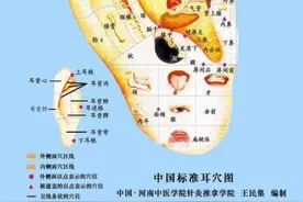 戴耳环、项链只是为了好看？专家：正确佩戴能养生图片