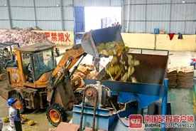 东兴海关销毁31.65吨走私榴莲，处理后变有机肥图片