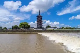 观潮好时节来了！盐官旅游度假区明天起恢复正常收费图片