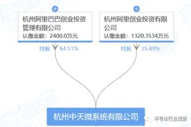 阿里巴巴的芯版图图片