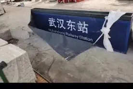 定了！武汉东站图片
