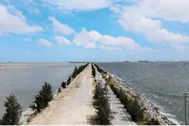 打卡广西网红最美海上公路——钦州三墩海上公路图片