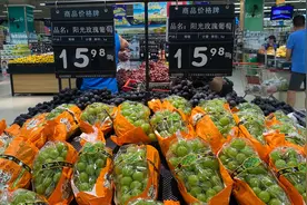 “高端葡萄”阳光玫瑰价格大跳水 中科院果树专家呼吁控产增质图片