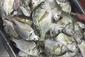 携粉丝同行再战南通，一不小心爆了护图片