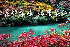 总投资71.96亿元！关中环线眉县经岐山至凤翔高速 初步设计获批！宝鸡这几个县即将腾飞~图片