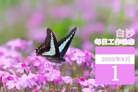 白沙每日工作动态（2020年9月1日）图片