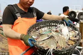 重磅！青岛今天开海，海味狂欢开始啦图片