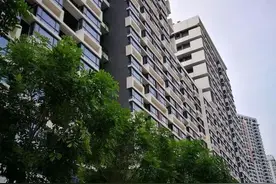 服务实体经济，优化营商环境！光明区出台产业配套宿舍配租管理办法图片