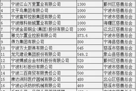 2020上半年宁波慈善榜公布 力勤捐2000万排全市第一图片