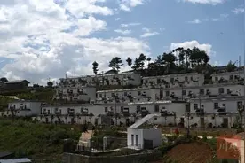 种重楼，脱贫再上一层楼｜督战未摘帽贫困县图片