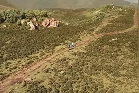 神秘祁连 野性奔跑