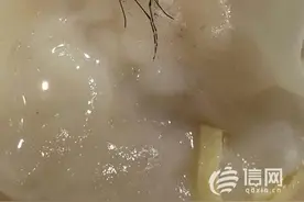 琴岛顺天馄饨里吃出蚊子？店家已给顾客退费图片