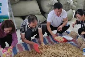 陕西勉县：当贫困户“玉”见“白富美”图片